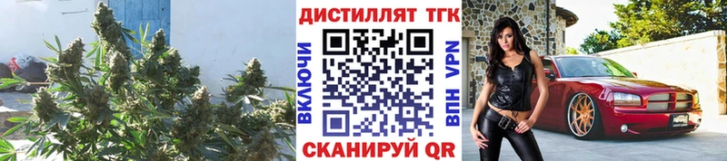 ТГК THC oil  Яранск 