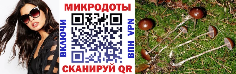 Псилоцибиновые грибы ЛСД  Яранск 
